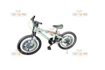 BICICLETA R-20