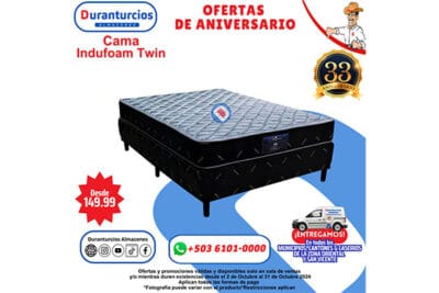 CAMA INDUFOAM DURAFOAM PLUS TWIN GRIS